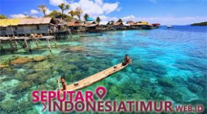 Togean